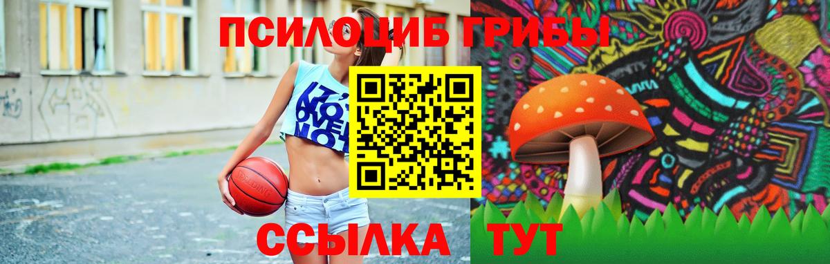 Псилоцибиновые грибы мицелий  Вход с VPN  Гусиноозёрск 