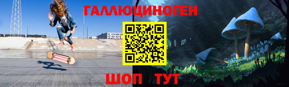 Псилоцибиновые грибы мицелий Гусиноозёрск